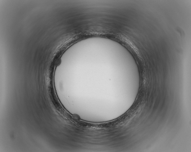 X0000115740635200911121103