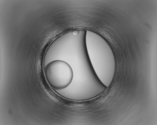 X0000115740638200911121103