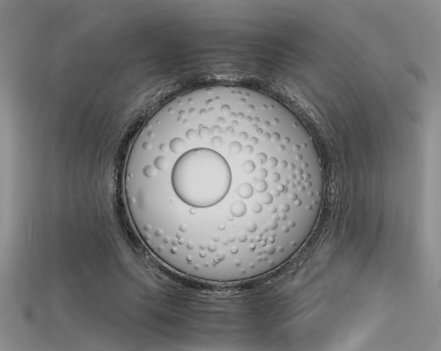 X0000115740639200911121103