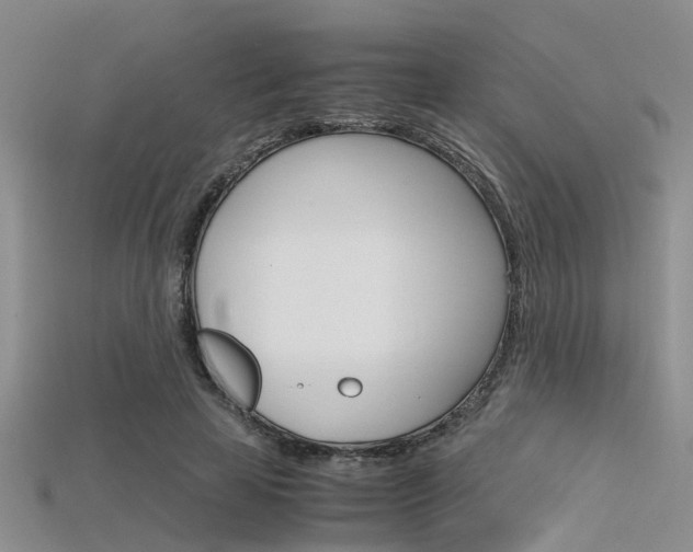 X0000115740641200911121103