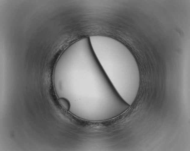 X0000115740642200911121103