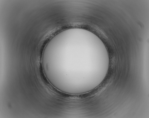 X0000115740644200911121103