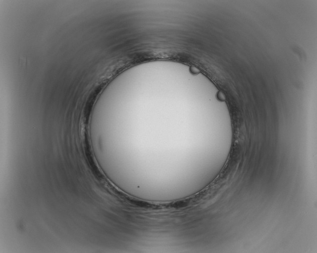 X0000115740646200911121103