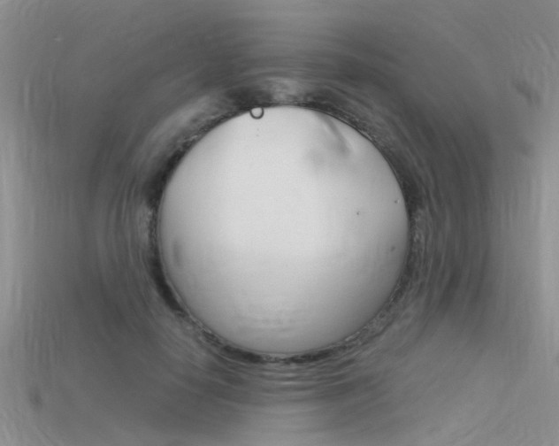 X0000115740650200911121103