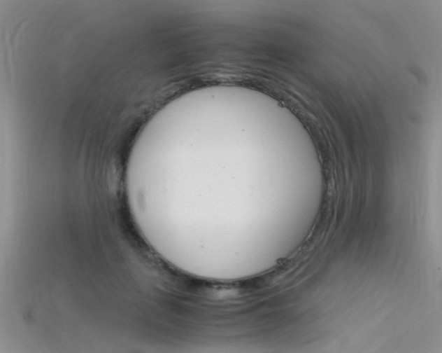 X0000115740651200911121103