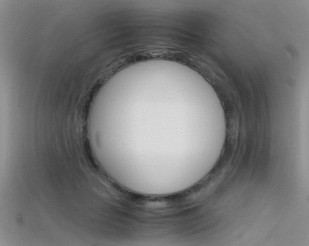 X0000115740653200911121103