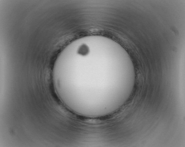 X0000115740654200911121103