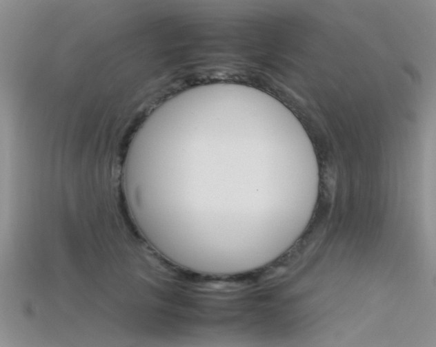 X0000115740657200911121103