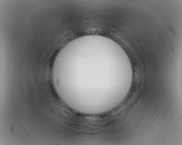 X0000115740659200911121103