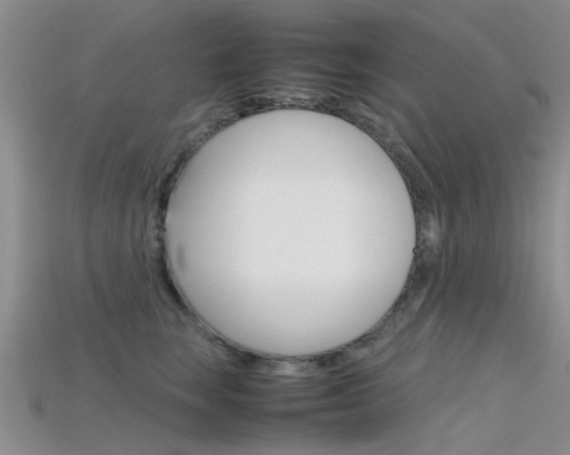 X0000115740663200911121103