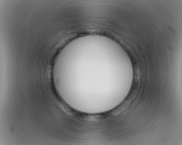 X0000115740664200911121103