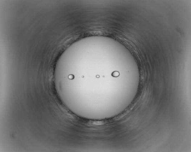 X0000115740665200911121103