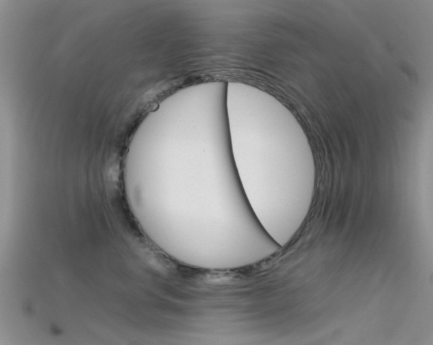 X0000115740668200911121103