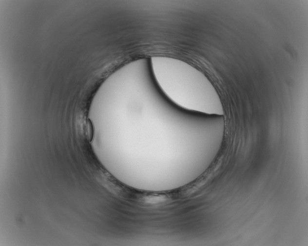 X0000115740669200911121103
