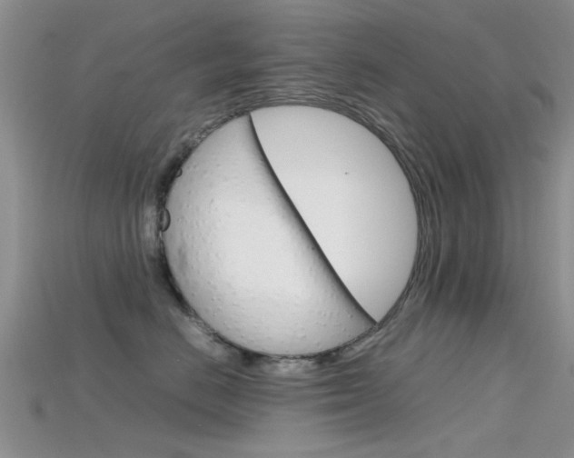 X0000115740670200911121103