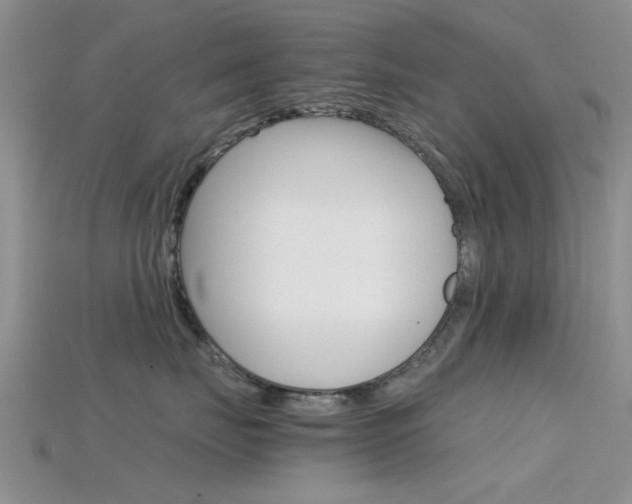 X0000115740671200911121103