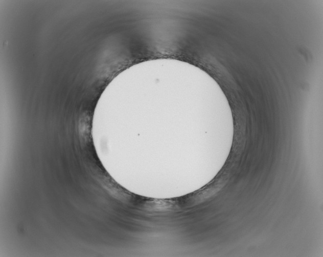 X0000115740672200911121103