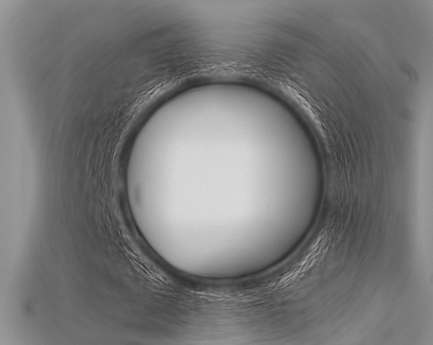 X0000115740673200911121103