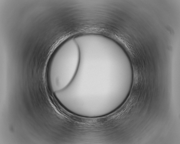 X0000115740674200911121103