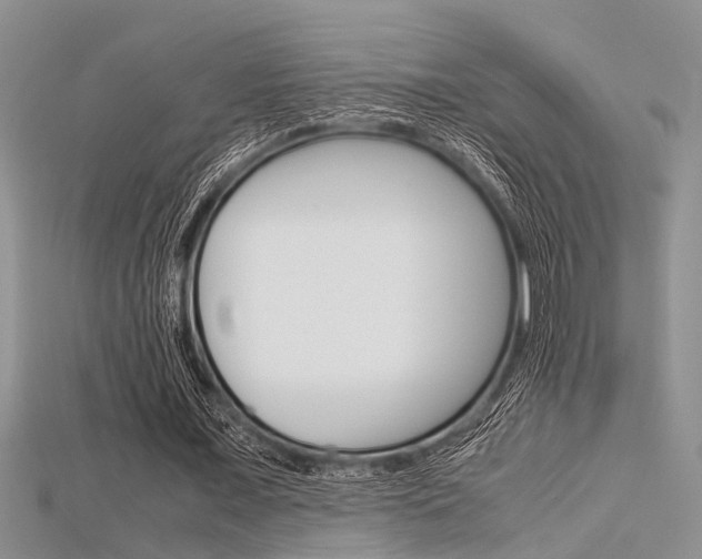 X0000115740675200911121103