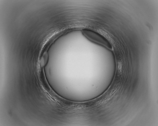 X0000115740676200911121103