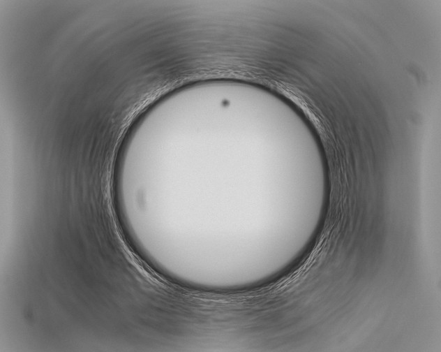 X0000115740677200911121103