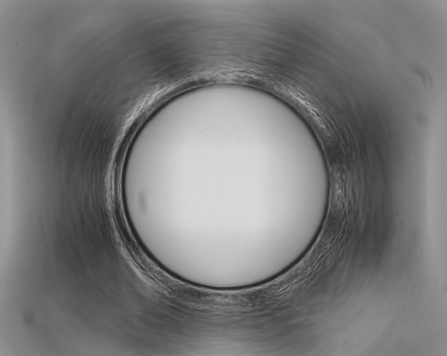 X0000115740678200911121103