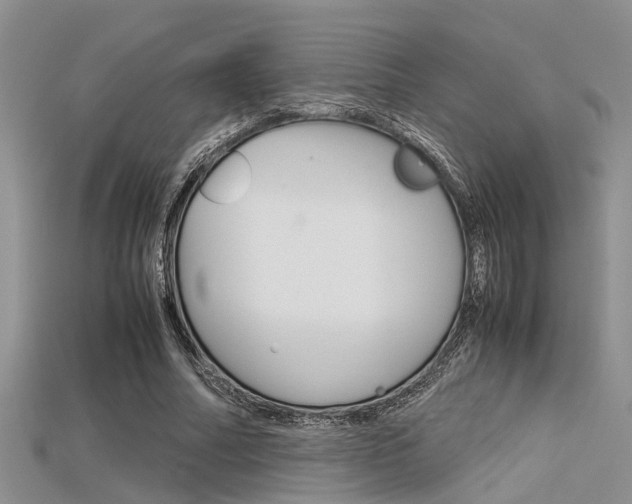X0000115740682200911121103