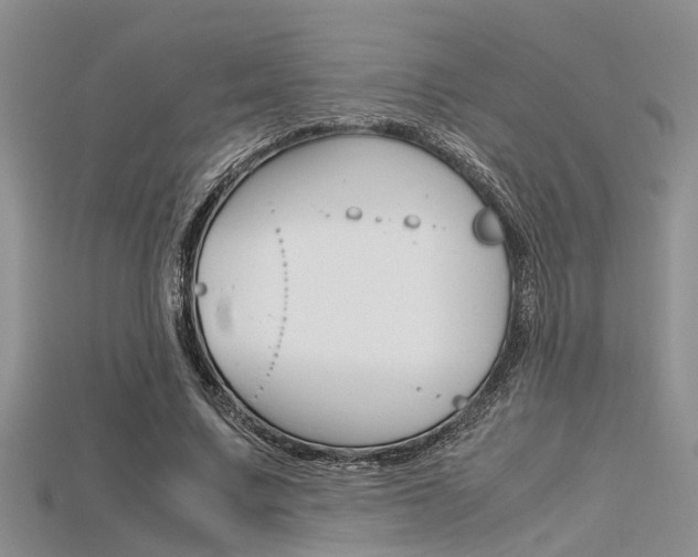 X0000115740683200911121103