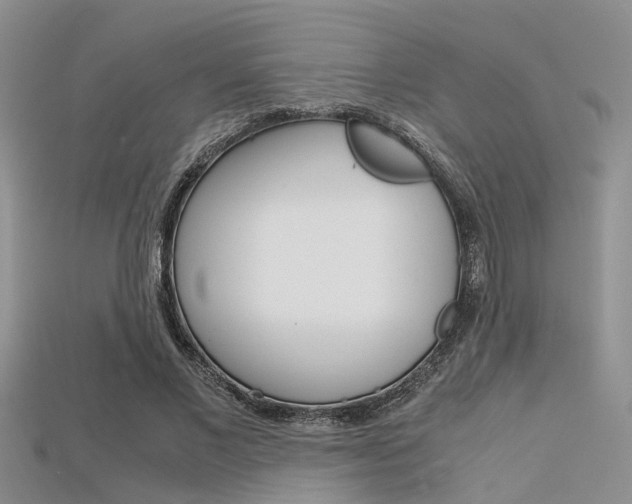 X0000115740685200911121103