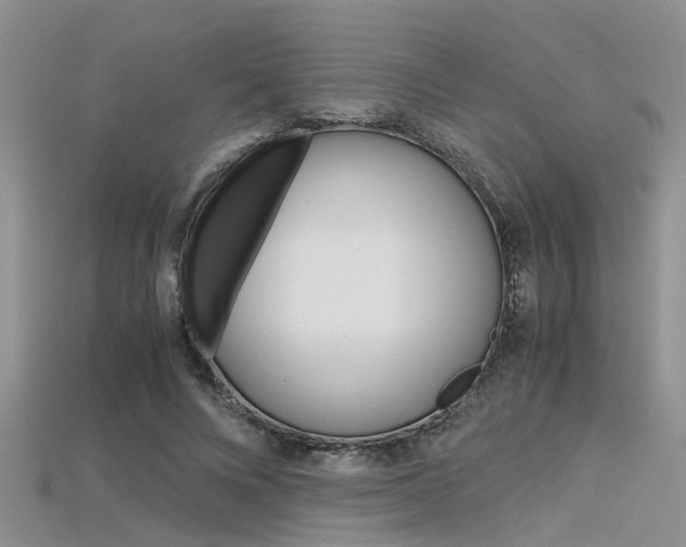 X0000115740688200911121102