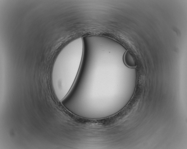 X0000115740689200911121102