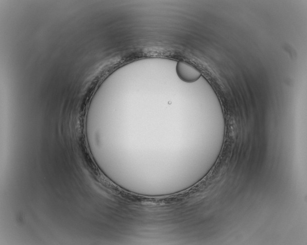X0000115740690200911121102