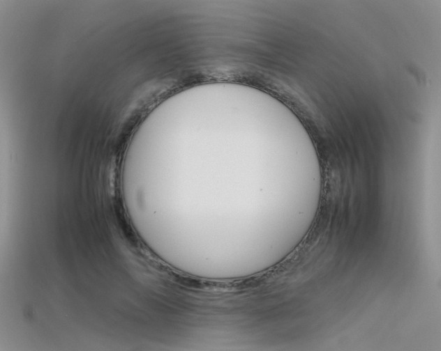 X0000115740694200911121102