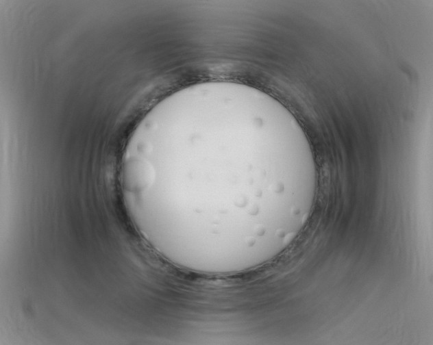 X0000115740698200911121102