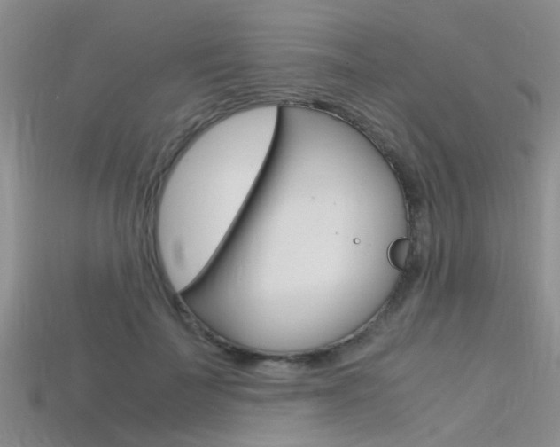 X0000115740699200911121102