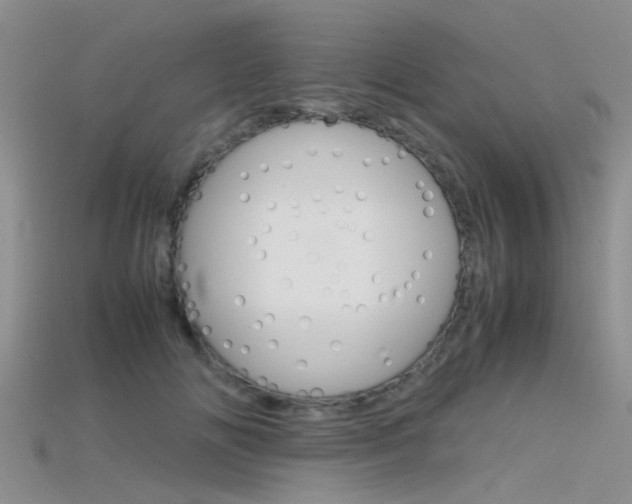 X0000115740702200911121102