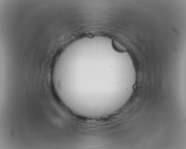 X0000115740703200911121102