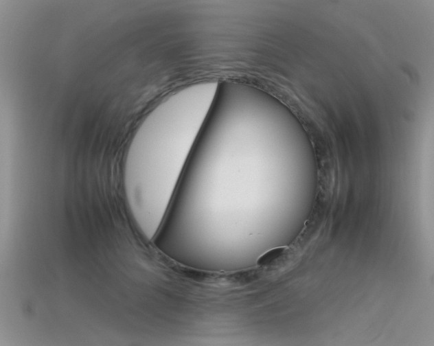 X0000115740704200911121102