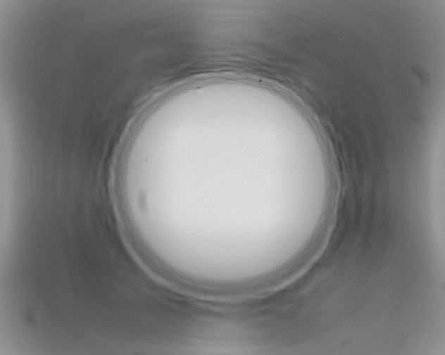 X0000115740705200911121102