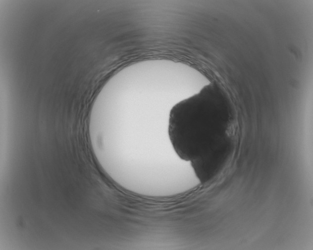 X0000115740707200911121102