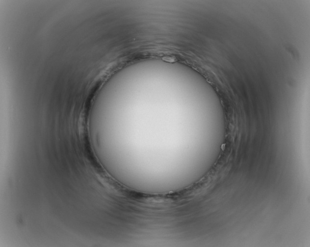X0000115740708200911121102