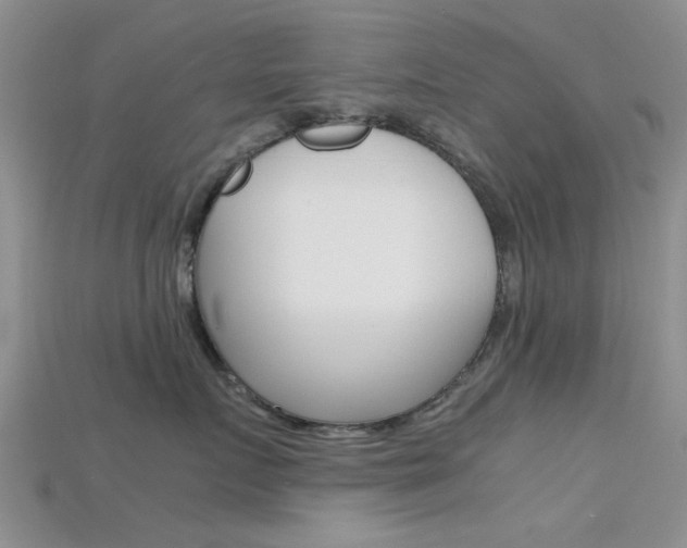 X0000115740719200911121102