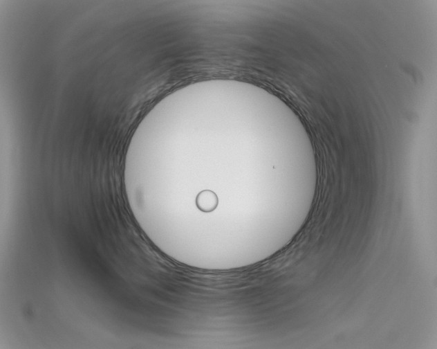 X0000115740720200911121102