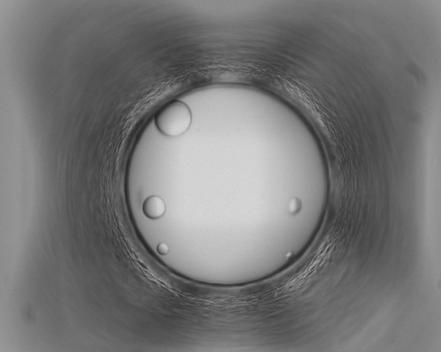 X0000115740721200911121101