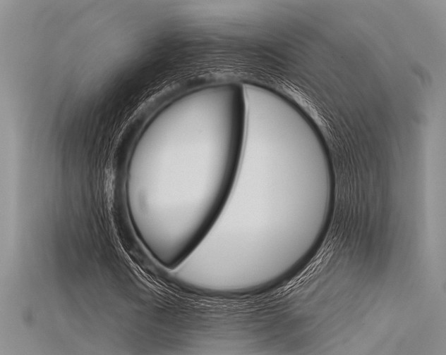 X0000115740722200911121101