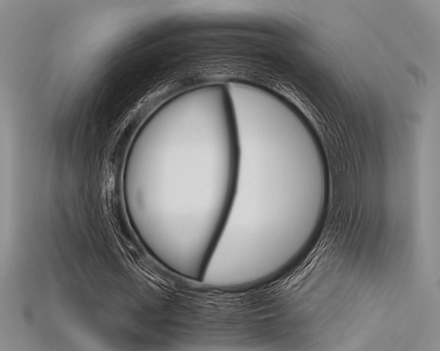 X0000115740723200911121101