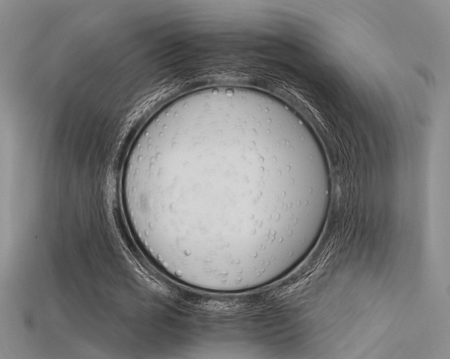 X0000115740725200911121101