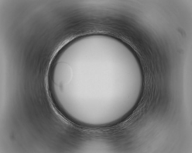 X0000115740726200911121101