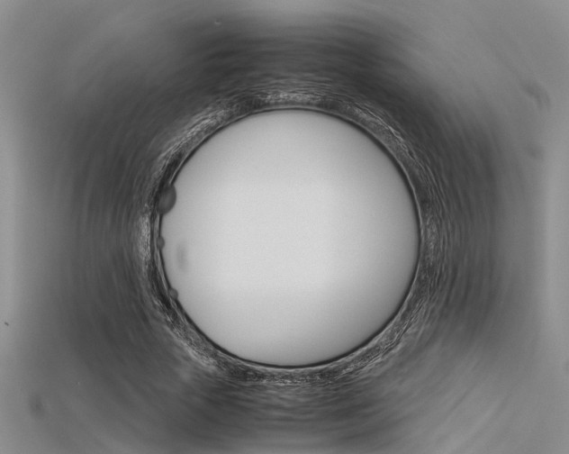 X0000115740729200911121101